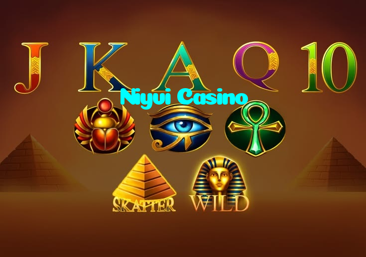 available types of Niyvi Casino bet including pre-match live express and system bets