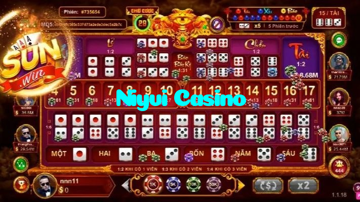 available types of Niyvi Casino bet including pre-match live express and system bets